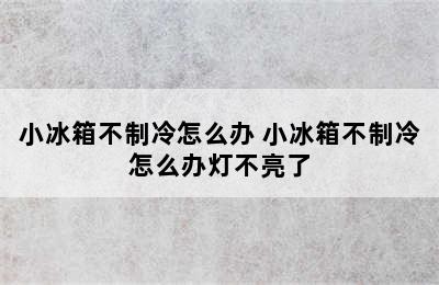 小冰箱不制冷怎么办 小冰箱不制冷怎么办灯不亮了